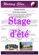 Logo Stage ete 2016